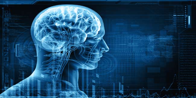 Know how your Brain pays Attention